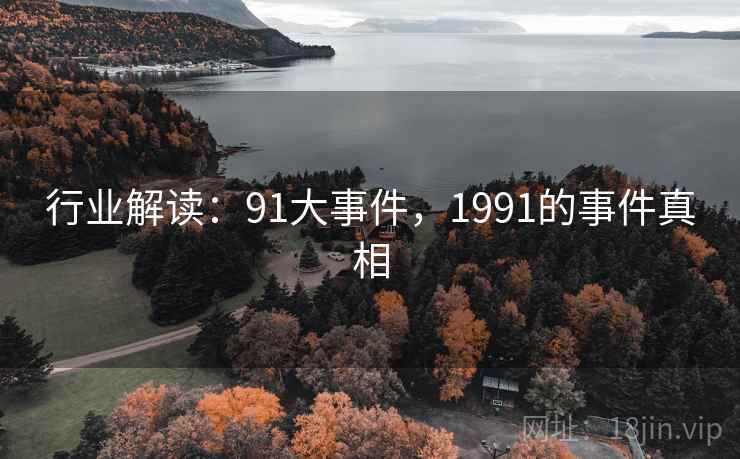 行业解读:91大事件,1991的事件真相