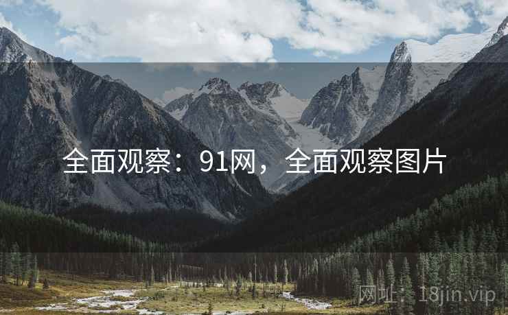 全面观察:91网,全面观察图片