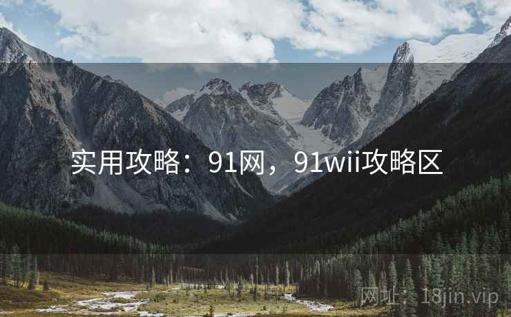 实用攻略:91网,91wii攻略区