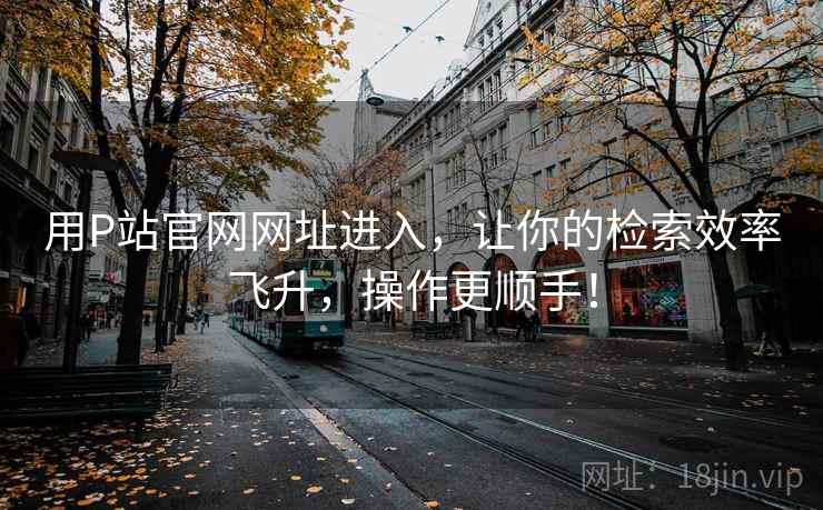 用P站官网网址进入,让你的检索效率飞升,操作更顺手!