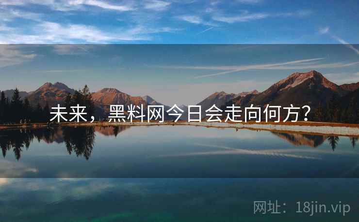 未来，黑料网今日会走向何方？