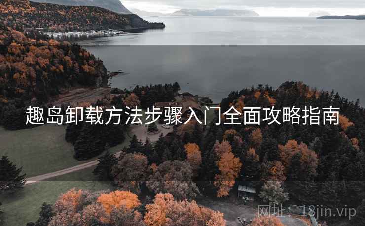趣岛卸载方法步骤入门全面攻略指南