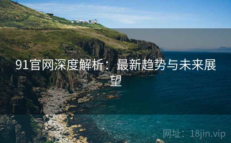91官网深度解析:最新趋势与未来展望