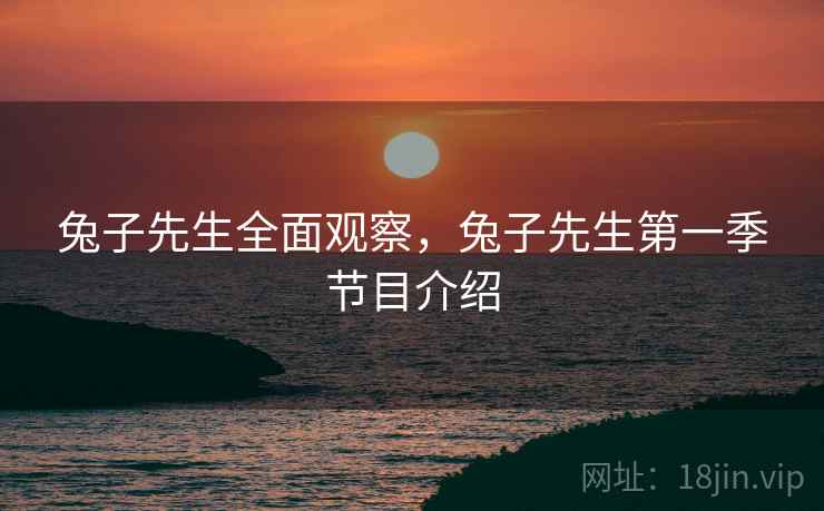 兔子先生全面观察,兔子先生第一季节目介绍