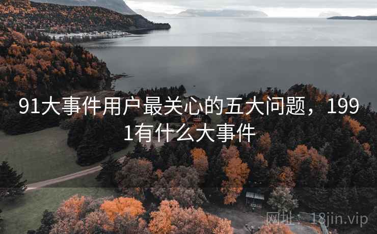 91大事件用户最关心的五大问题,1991有什么大事件