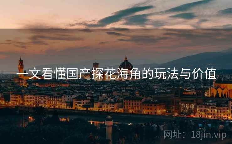 一文看懂国产探花海角的玩法与价值