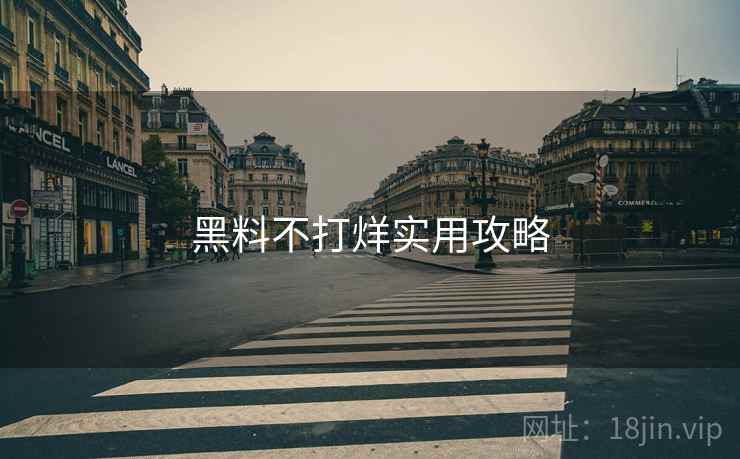 黑料不打烊实用攻略