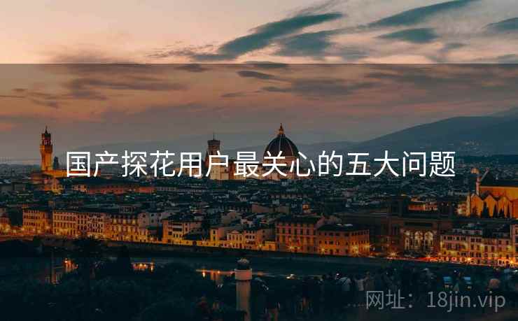 国产探花用户最关心的五大问题