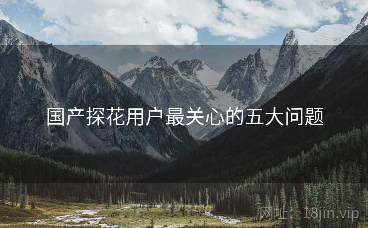 国产探花用户最关心的五大问题