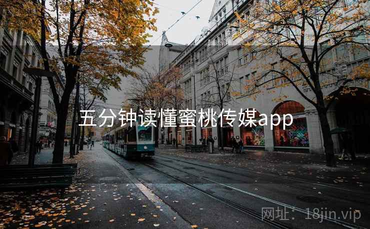 五分钟读懂蜜桃传媒app