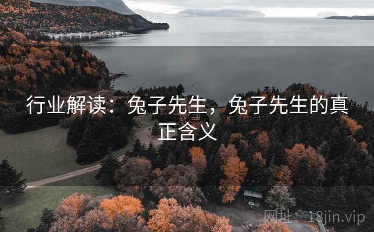 行业解读：兔子先生，兔子先生的真正含义