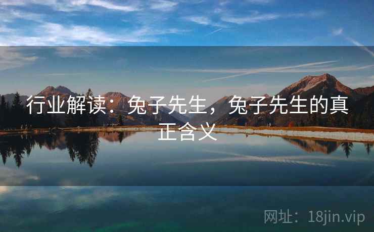 行业解读:兔子先生,兔子先生的真正含义