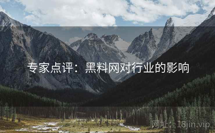 专家点评:黑料网对行业的影响