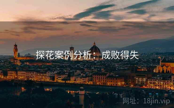 探花案例分析:成败得失