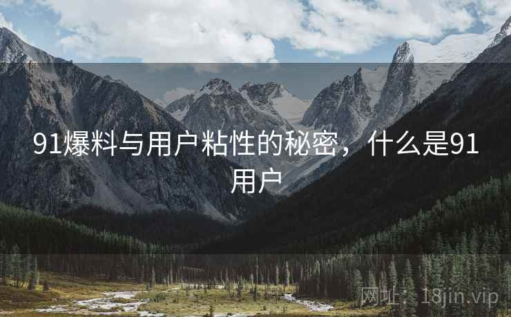 91爆料与用户粘性的秘密，什么是91用户