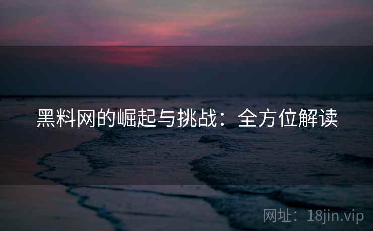 黑料网的崛起与挑战:全方位解读