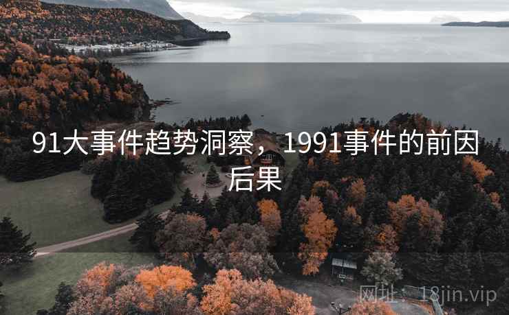 91大事件趋势洞察,1991事件的前因后果