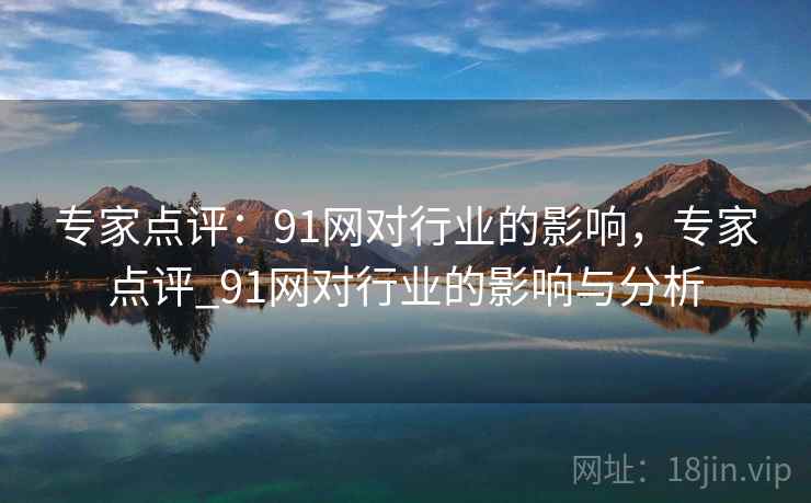 专家点评:91网对行业的影响,专家点评_91网对行业的影响与分析