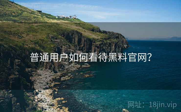 普通用户如何看待黑料官网?