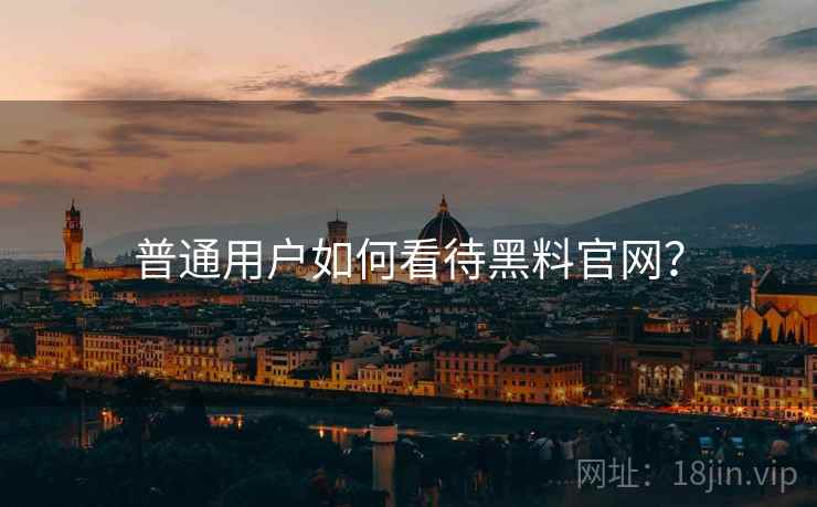 普通用户如何看待黑料官网?